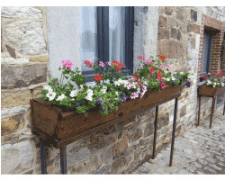 Cour-de-notre-ferme-en-ete Cour de notre ferme en été