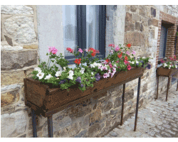 Cour de notre ferme en été